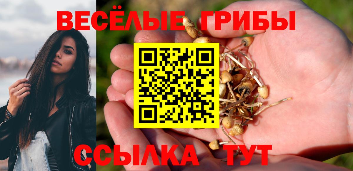 Псилоцибиновые грибы Psilocybe Морозовск