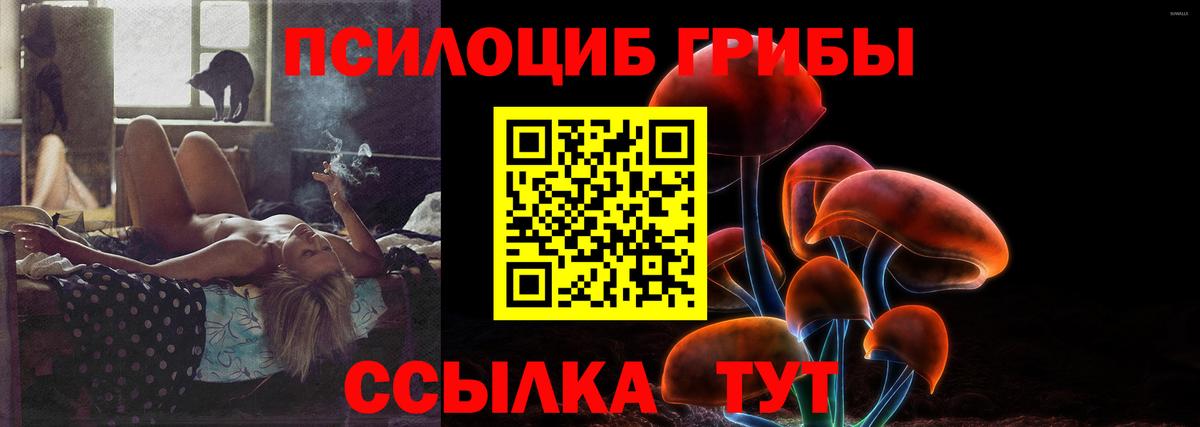 Морозовск  Галлюциногенные грибы Psilocybine cubensis  Вход с VPN  Псилоцибиновые грибы прущие грибы 